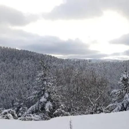 Gîtel'harmonie2 * Fraize