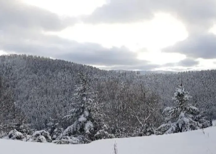 Gitel'harmonie2 * Fraize